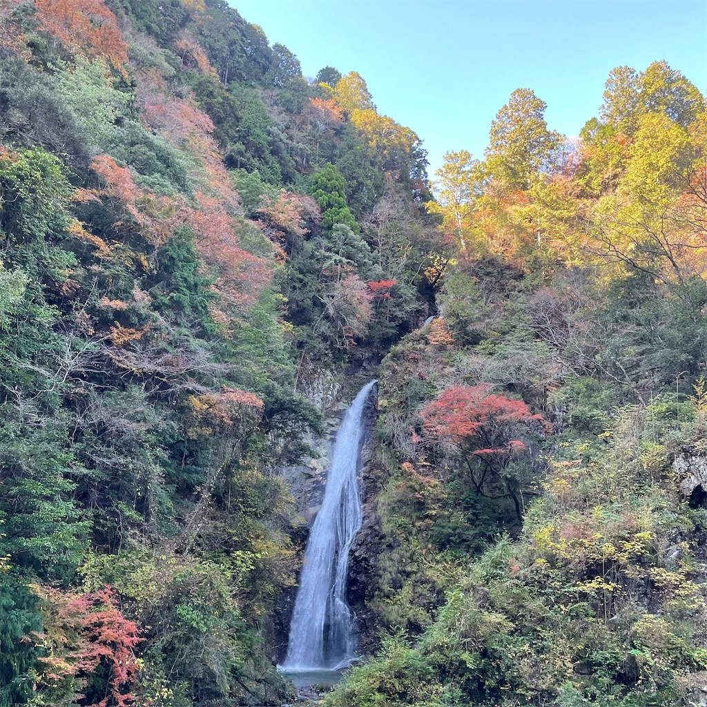 f:id:keikostyle:20251122083620j:image