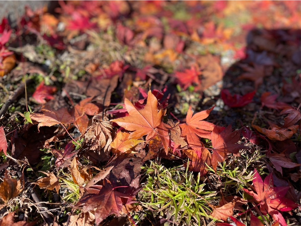 f:id:keikostyle:20251122083623j:image