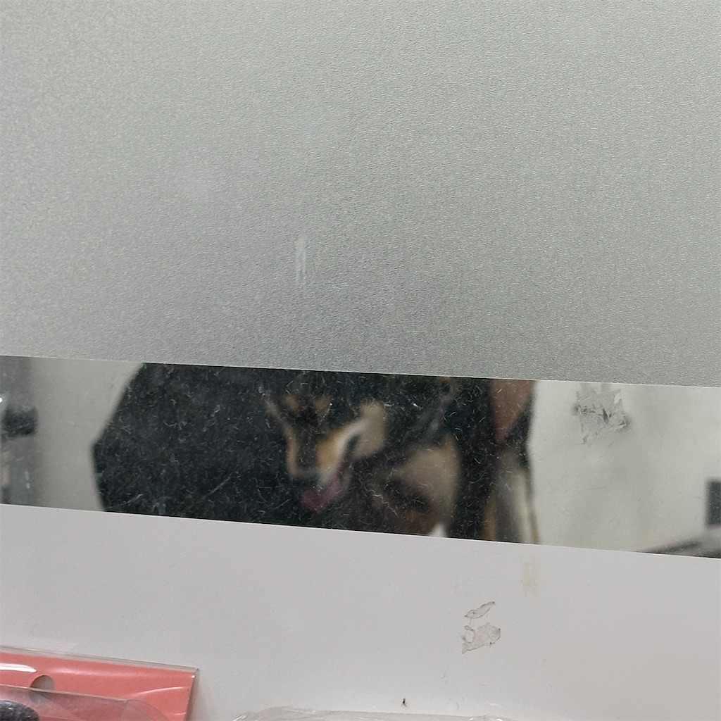 f:id:keikostyle:20251124131719j:image