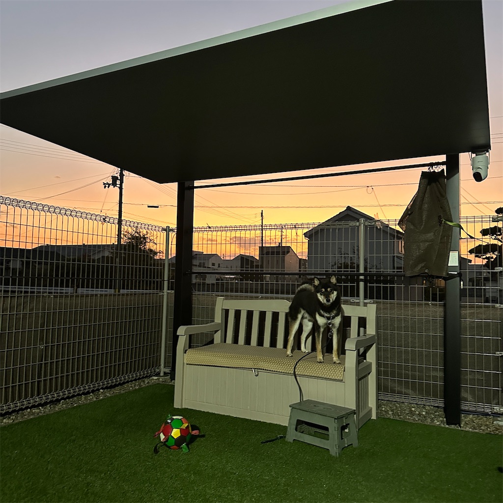 f:id:keikostyle:20251125181445j:image