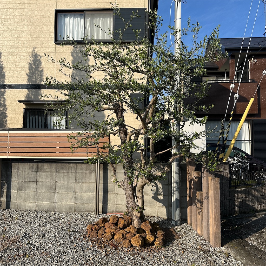 f:id:keikostyle:20251127094617j:image