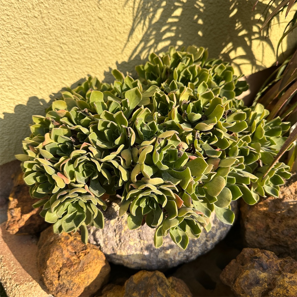 f:id:keikostyle:20251127094620j:image