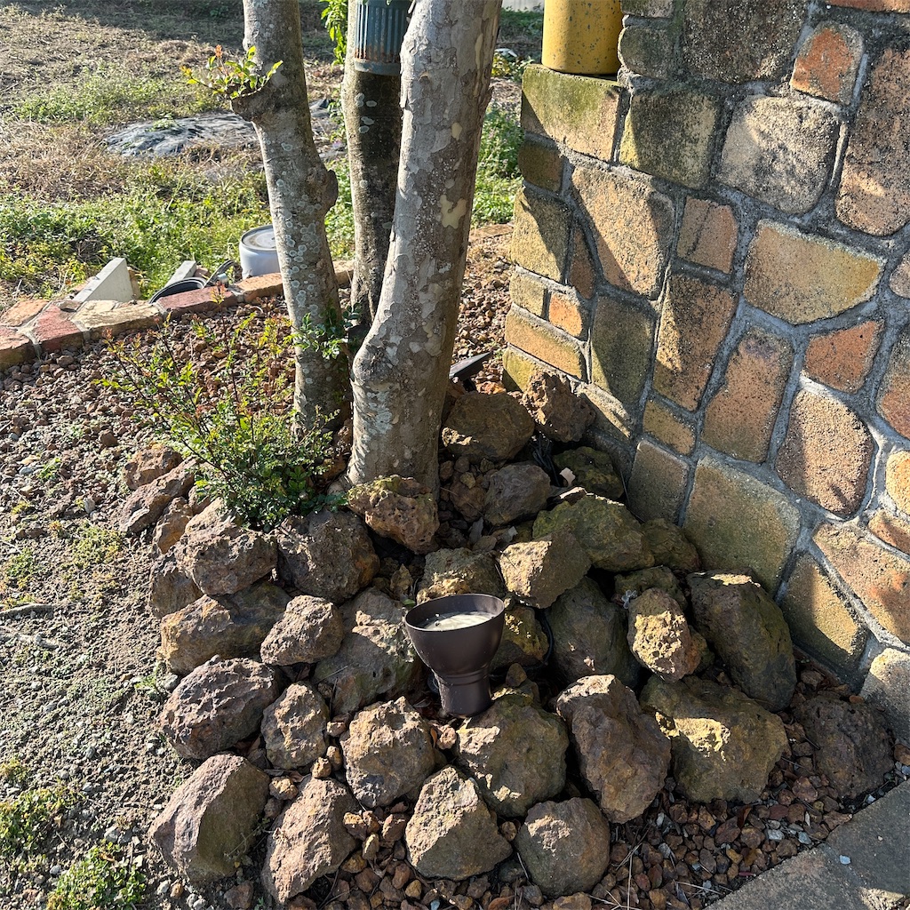 f:id:keikostyle:20251127094641j:image