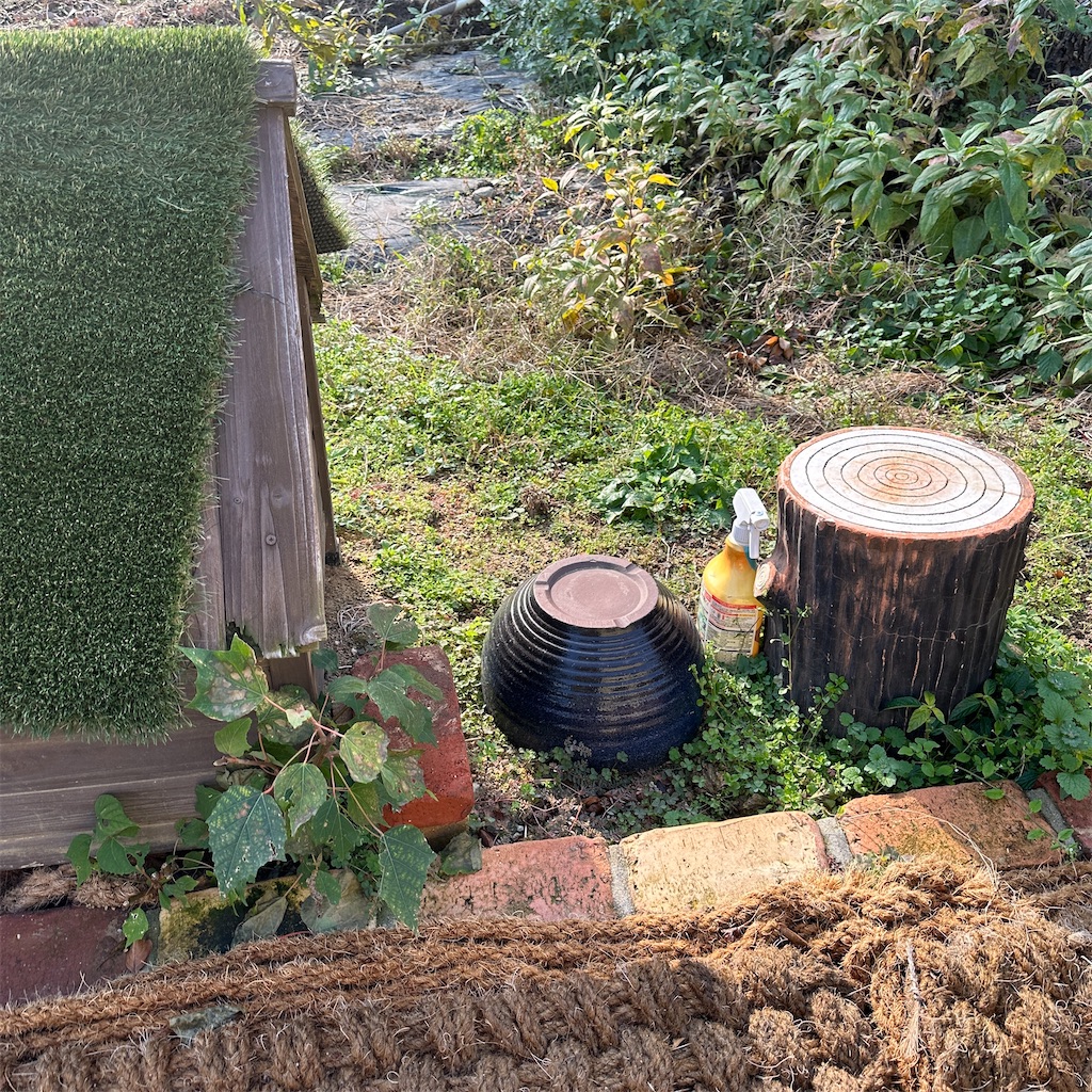 f:id:keikostyle:20251127094703j:image