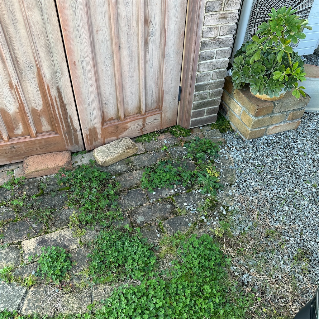 f:id:keikostyle:20251127094717j:image