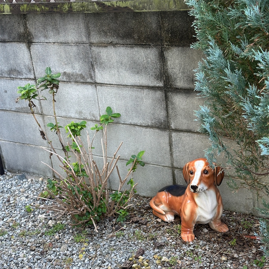 f:id:keikostyle:20251127094721j:image