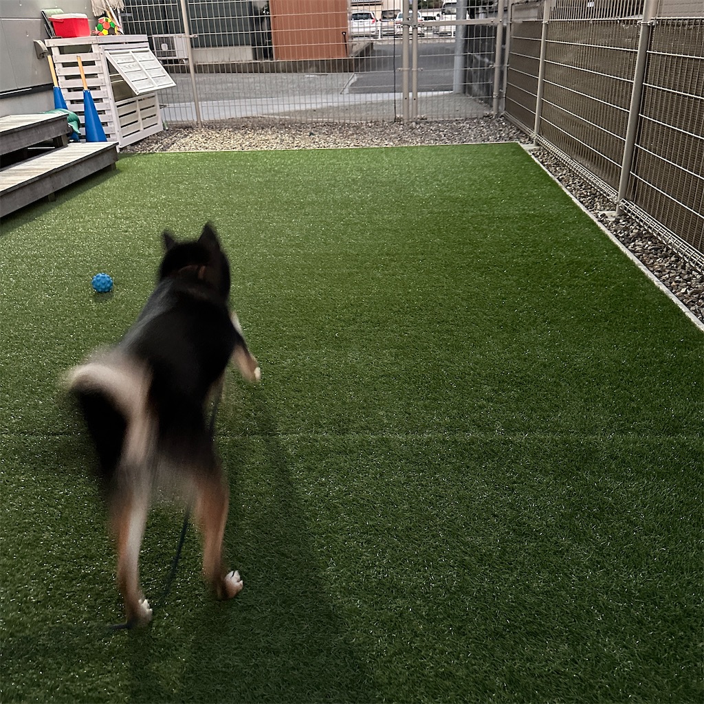 f:id:keikostyle:20251202171945j:image