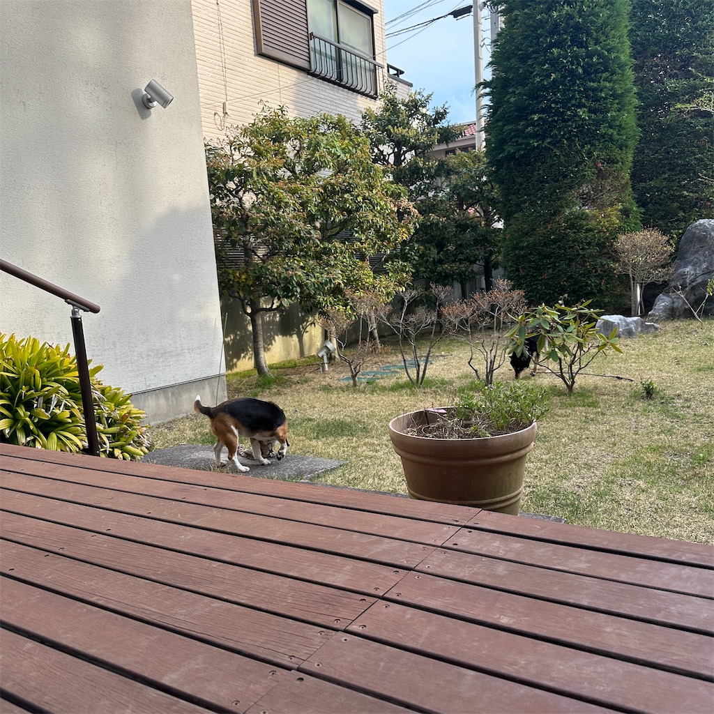 f:id:keikostyle:20260405063412j:image