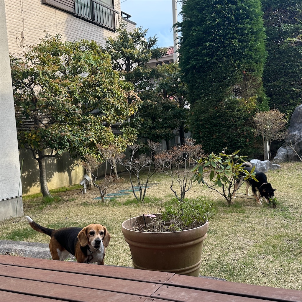 f:id:keikostyle:20260405063415j:image