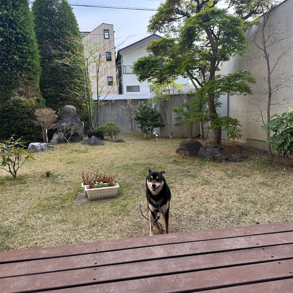 f:id:keikostyle:20260405063418j:image