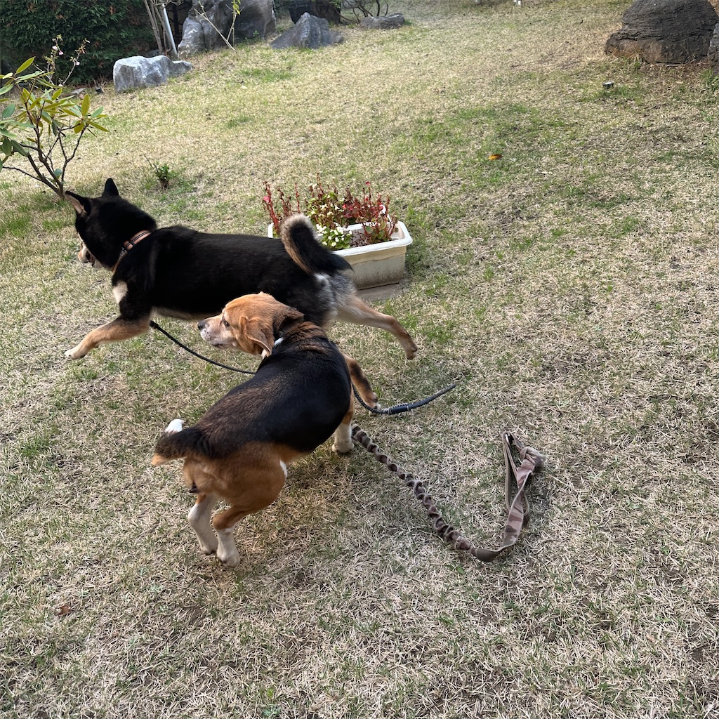 f:id:keikostyle:20260405063422j:image