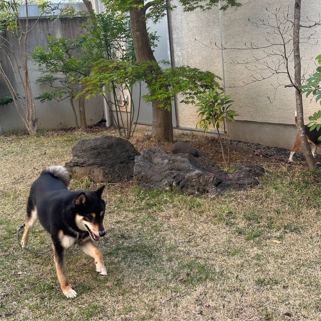 f:id:keikostyle:20260405063425j:image