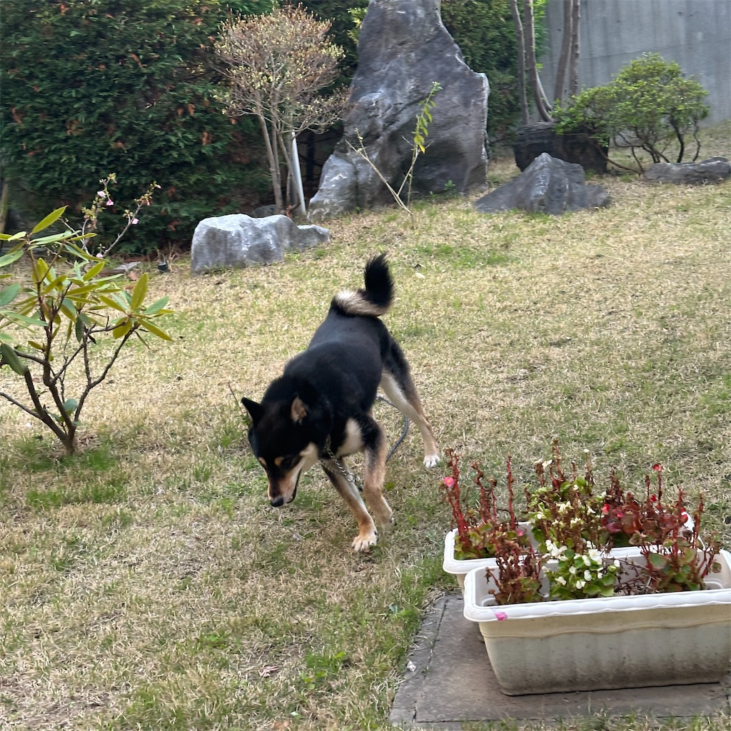 f:id:keikostyle:20260405063431j:image