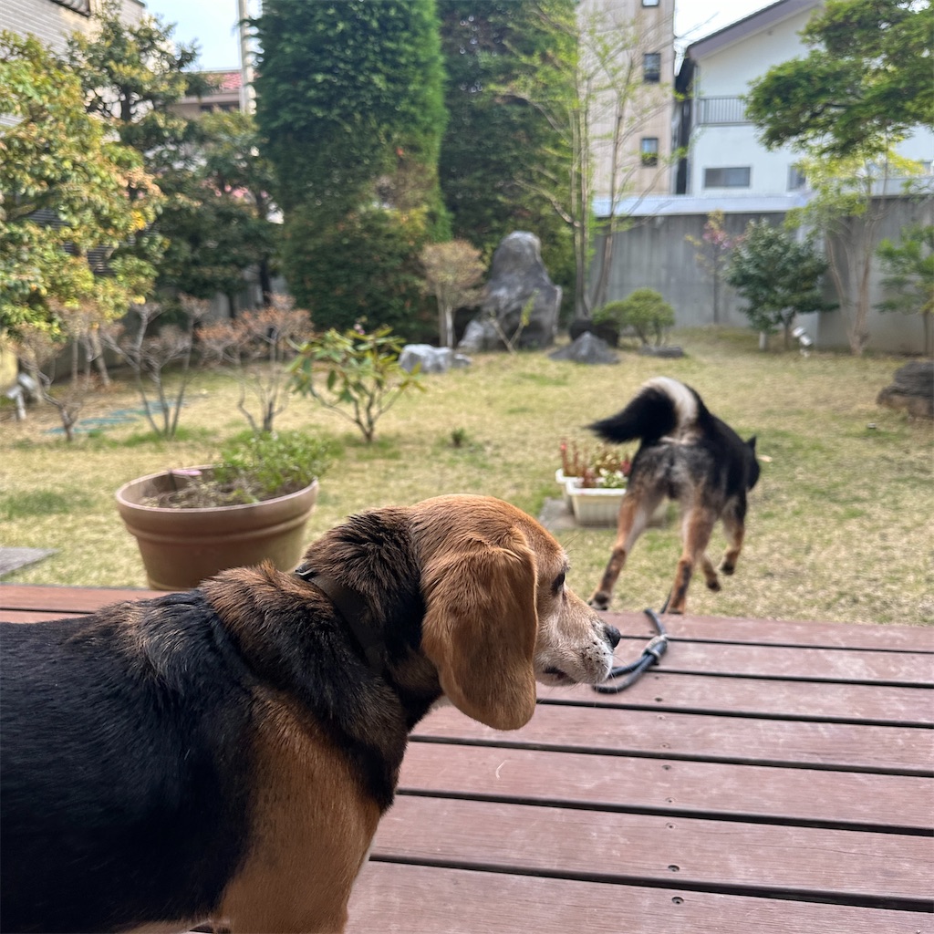 f:id:keikostyle:20260405063438j:image