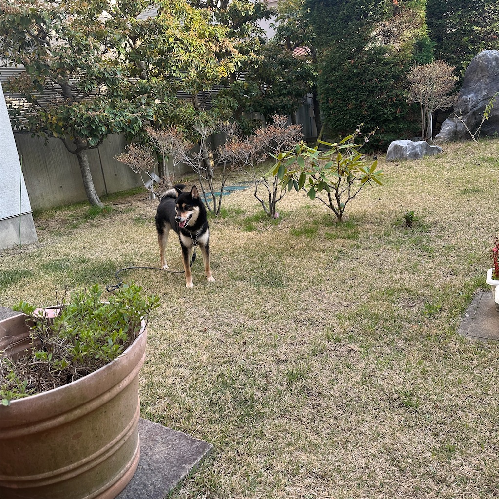 f:id:keikostyle:20260405063609j:image