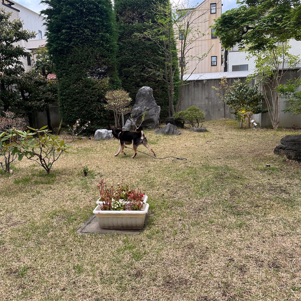 f:id:keikostyle:20260405070442j:image