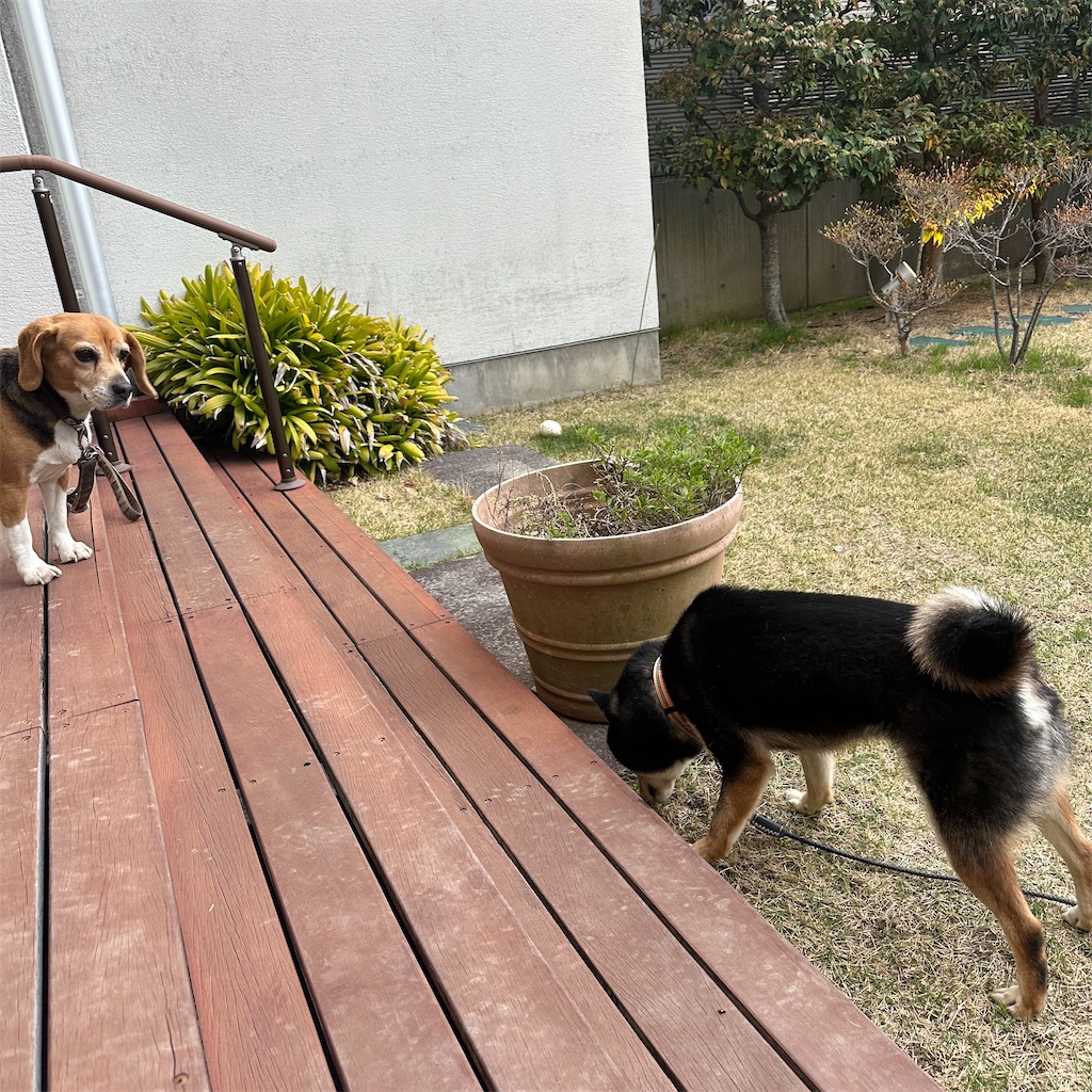f:id:keikostyle:20260405070456j:image