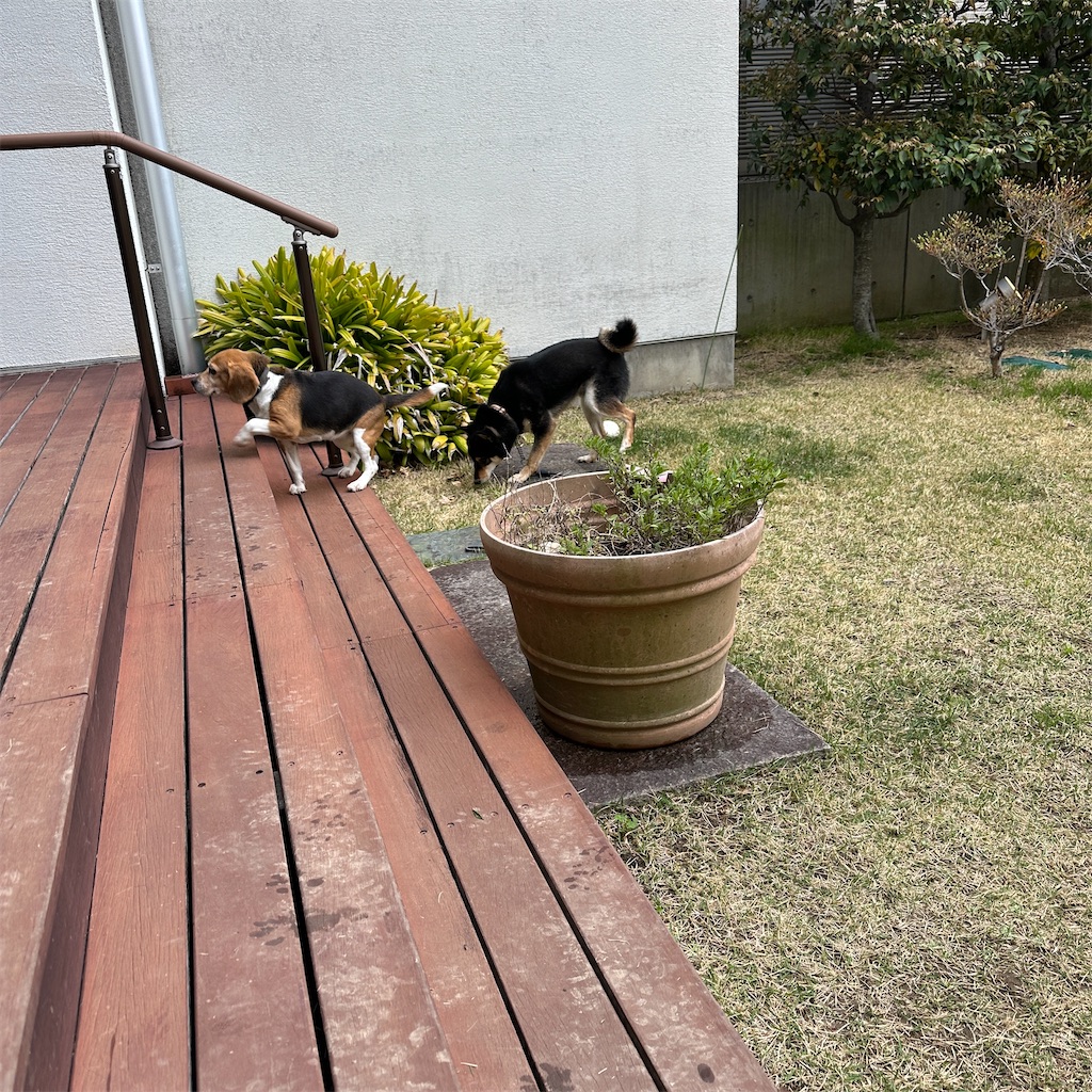 f:id:keikostyle:20260405070515j:image