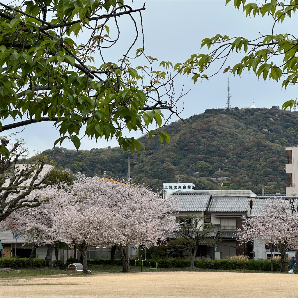 f:id:keikostyle:20260409170213j:image