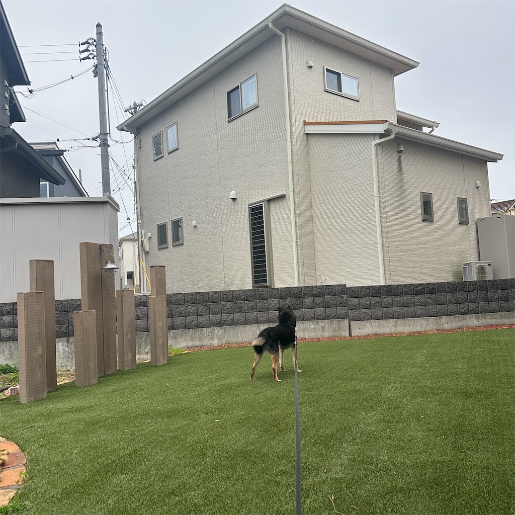 f:id:keikostyle:20260420180751j:image
