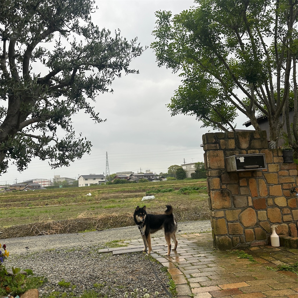 f:id:keikostyle:20260420180754j:image