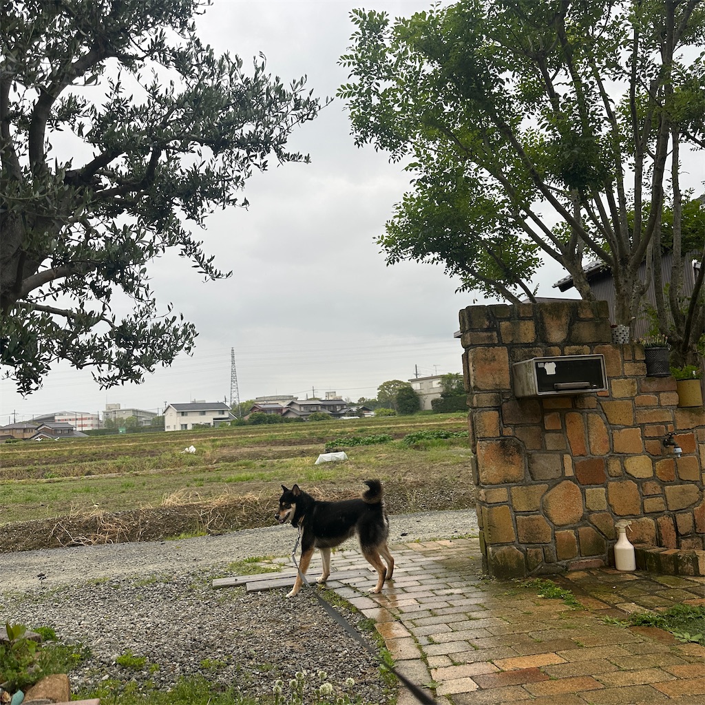 f:id:keikostyle:20260420180757j:image