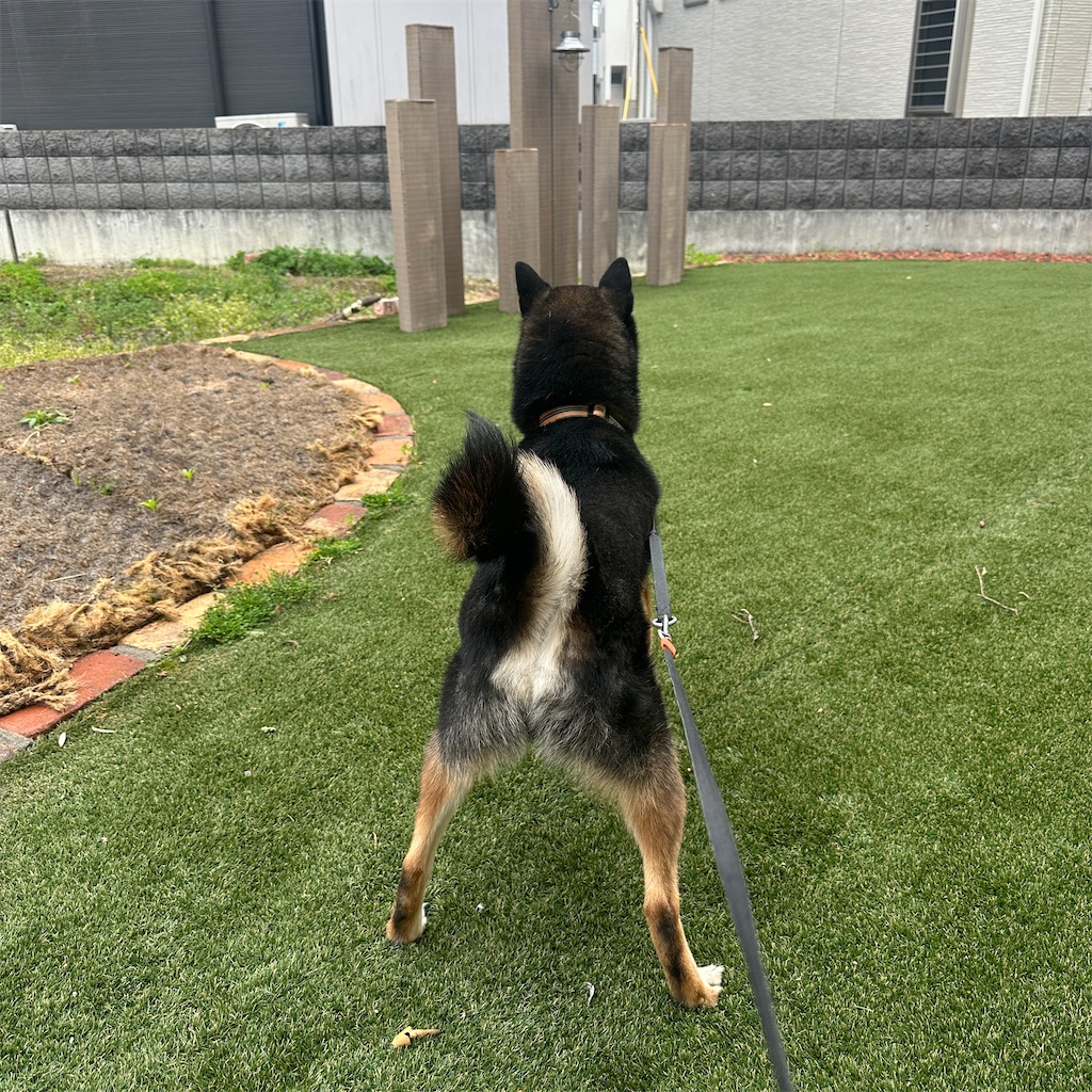 f:id:keikostyle:20260420180800j:image