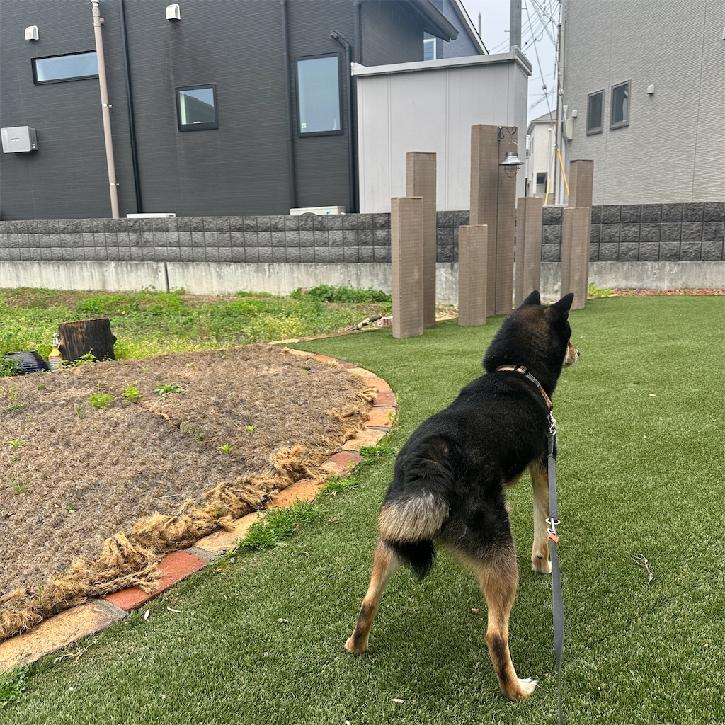 f:id:keikostyle:20260420180806j:image