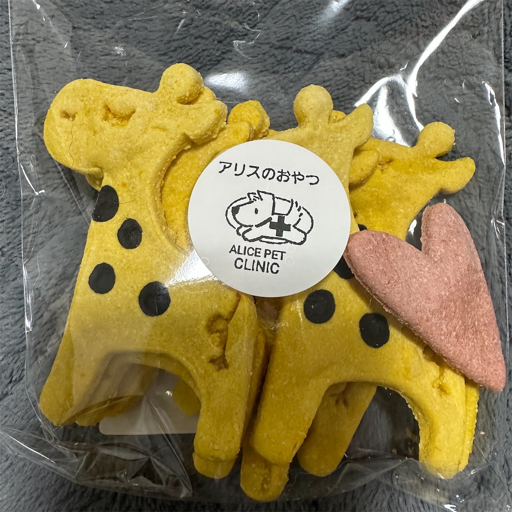 f:id:keikostyle:20260524193652j:image
