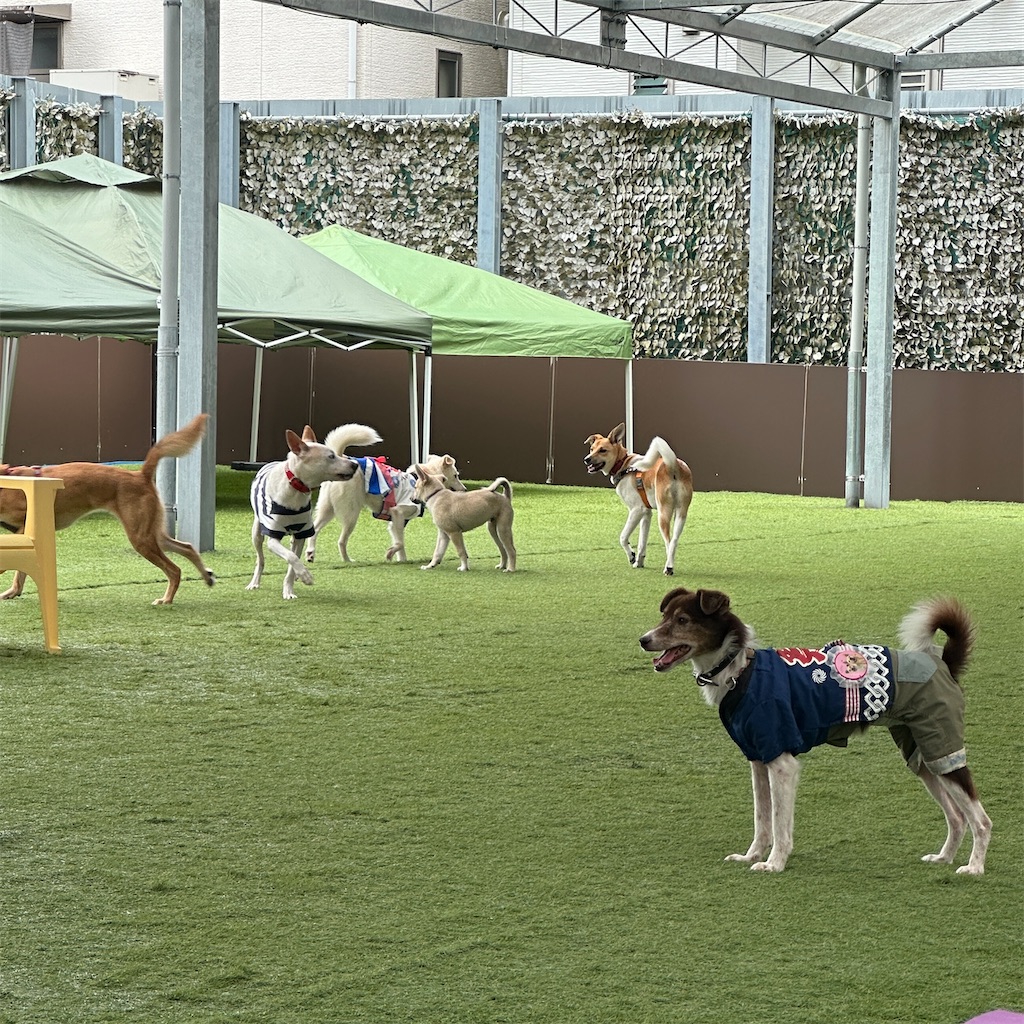 f:id:keikostyle:20260524193800j:image