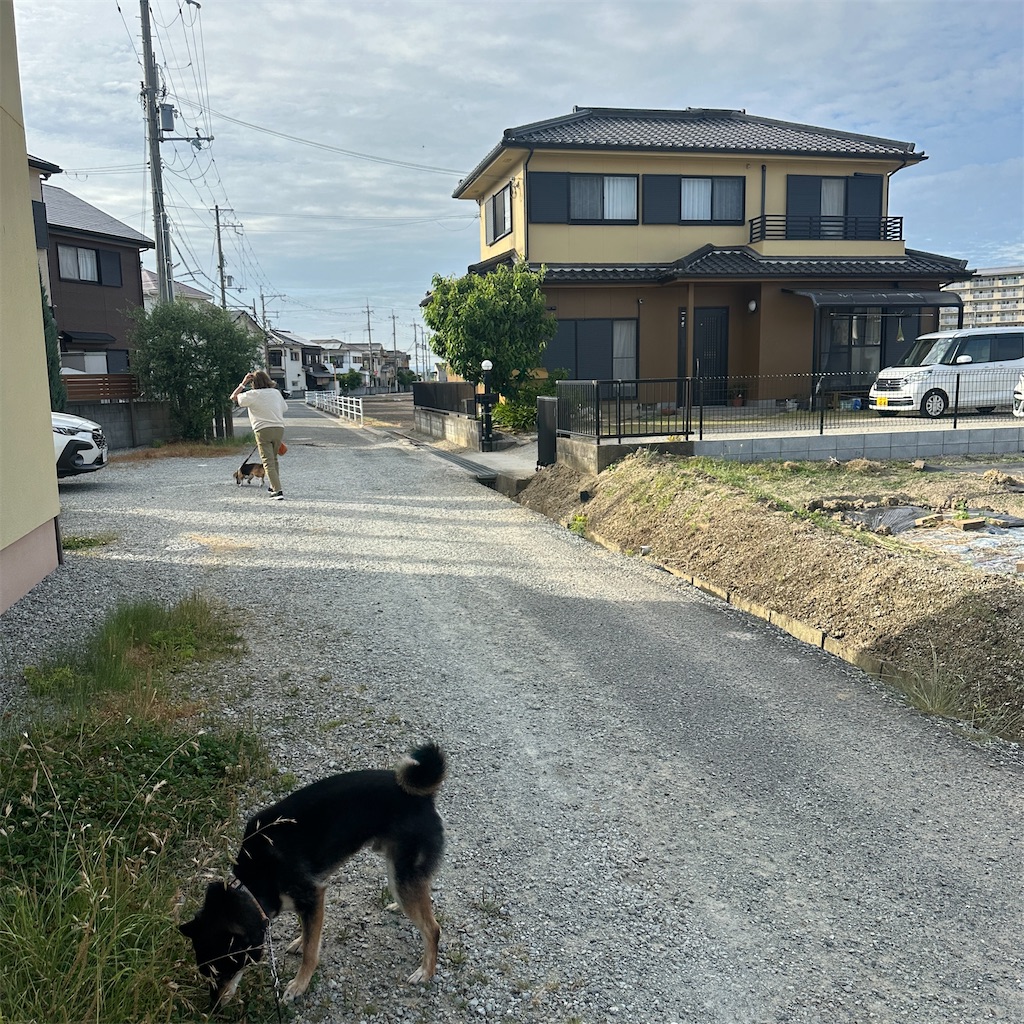 f:id:keikostyle:20260526210420j:image
