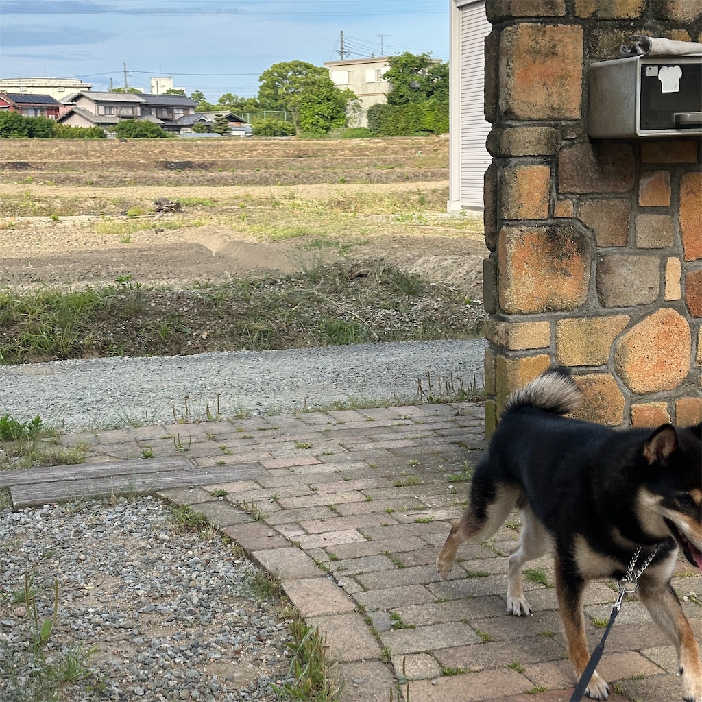 f:id:keikostyle:20260526210423j:image