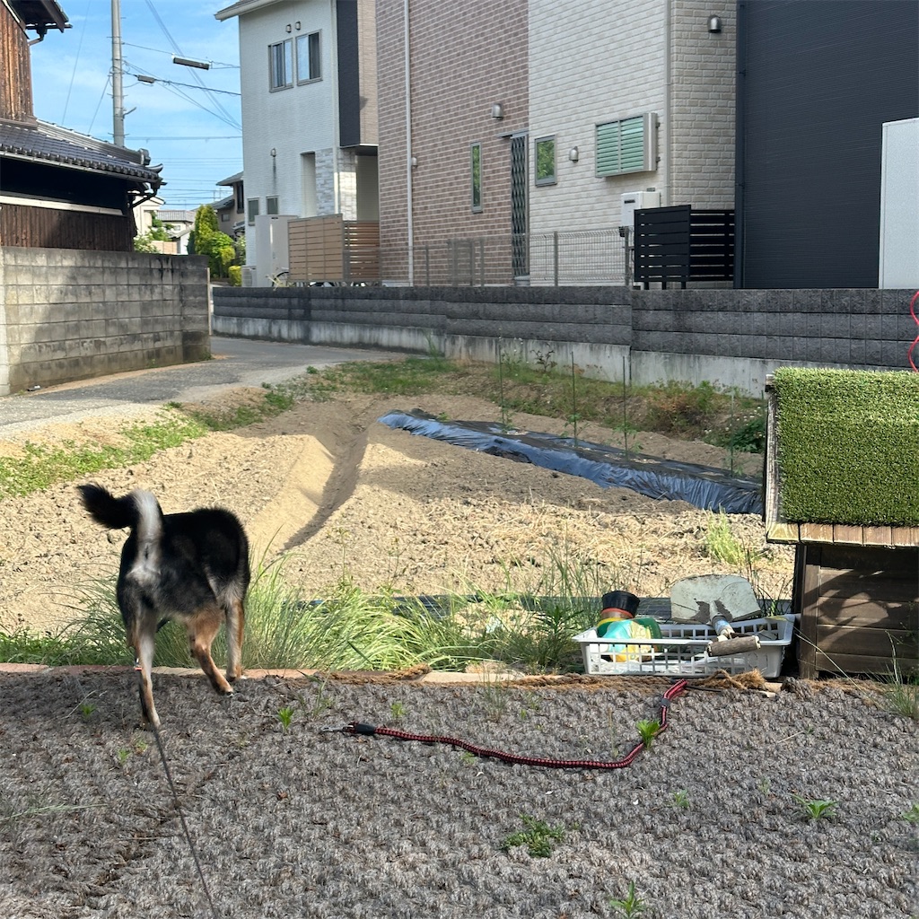 f:id:keikostyle:20260526210430j:image