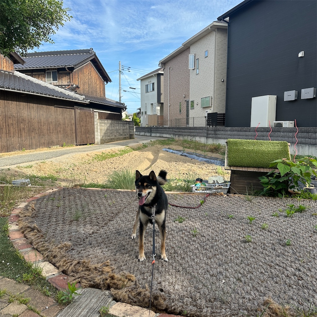 f:id:keikostyle:20260526210433j:image