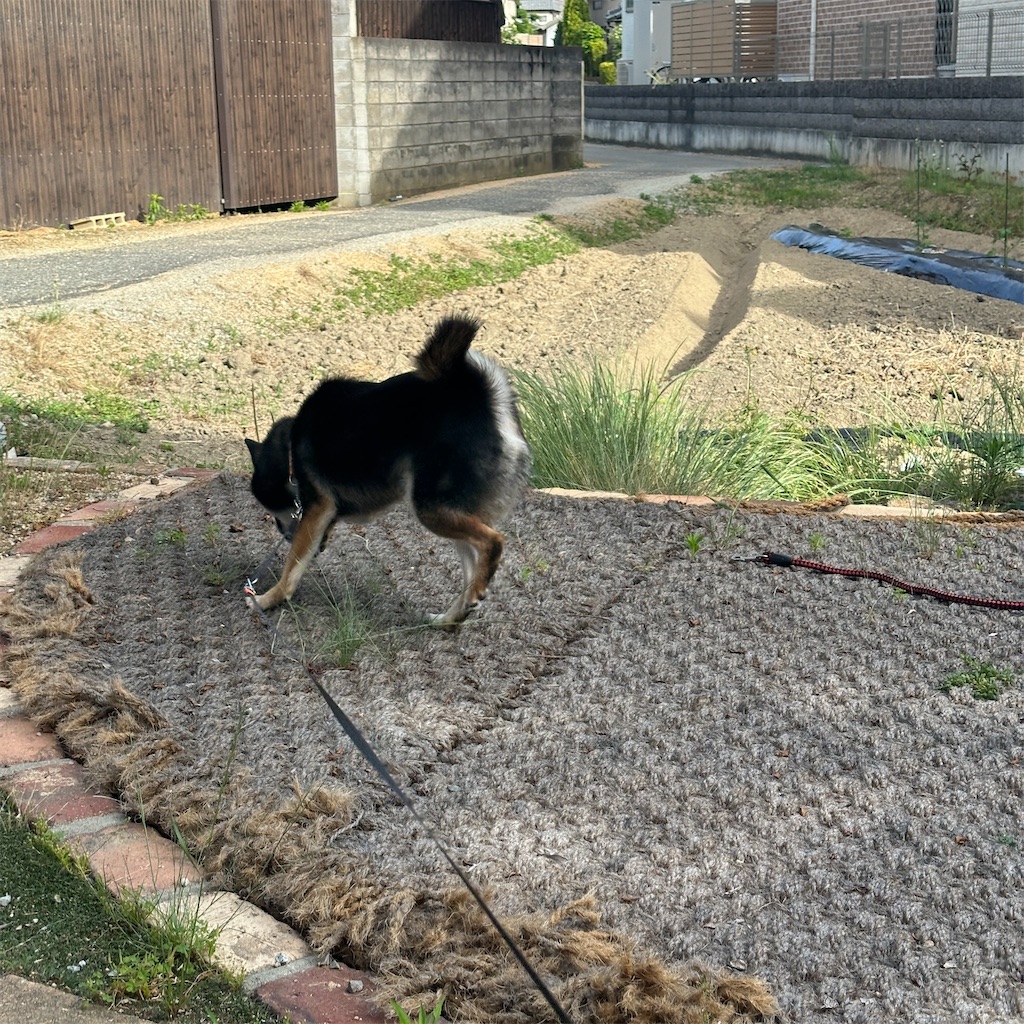 f:id:keikostyle:20260526210441j:image