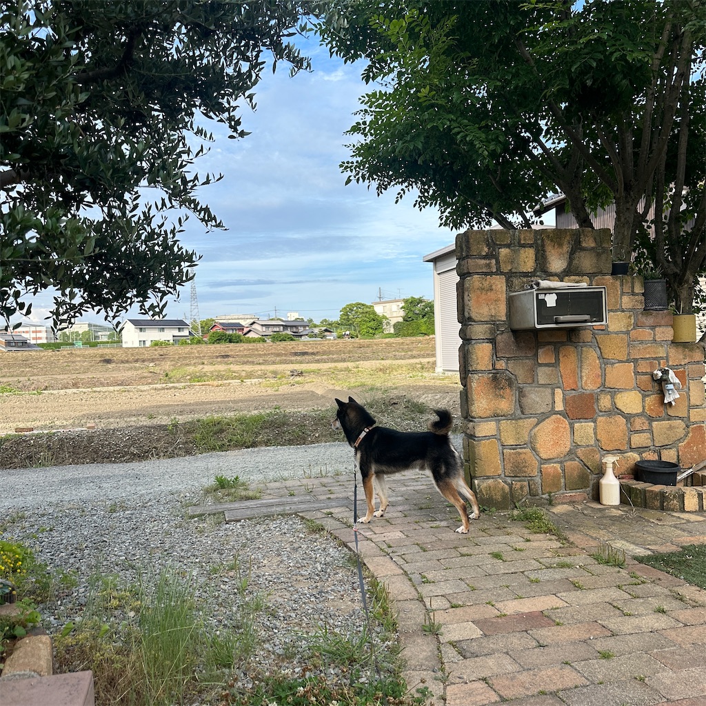 f:id:keikostyle:20260526210444j:image