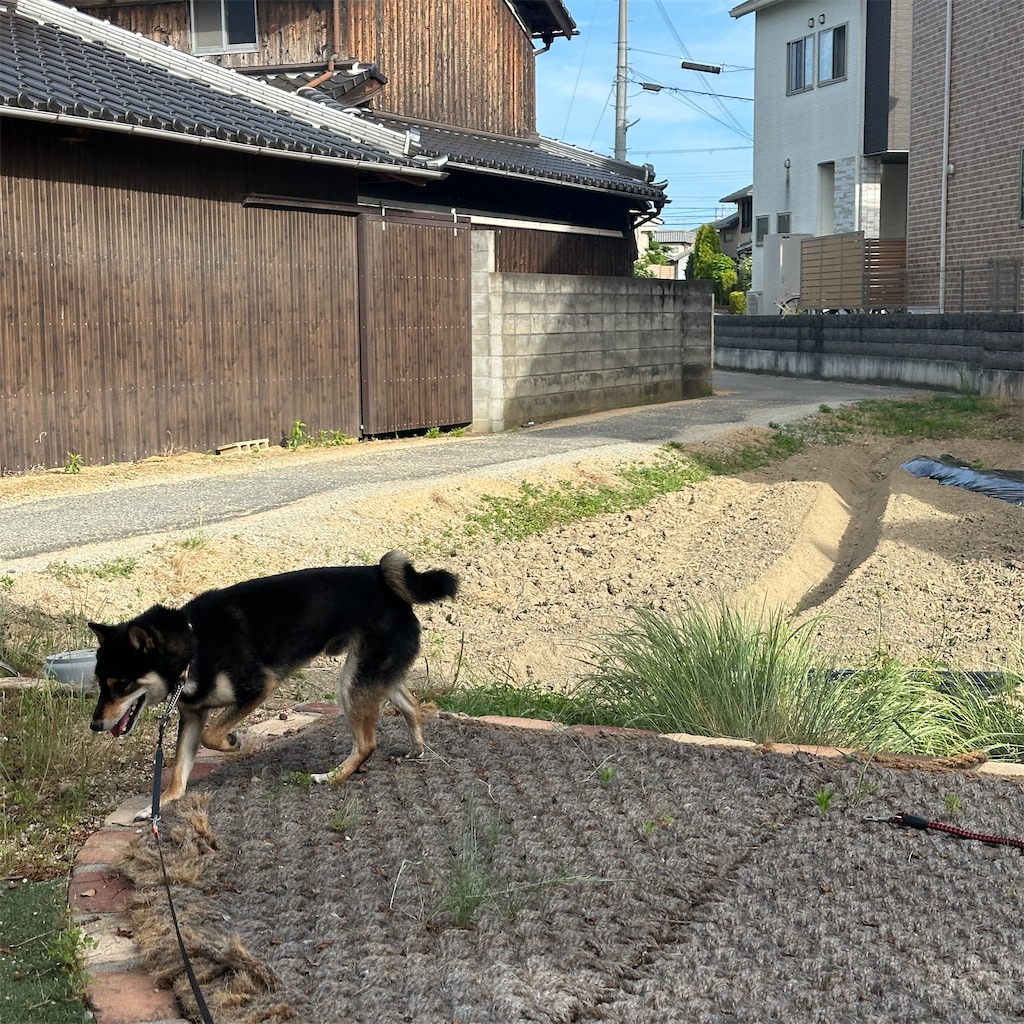 f:id:keikostyle:20260526210506j:image