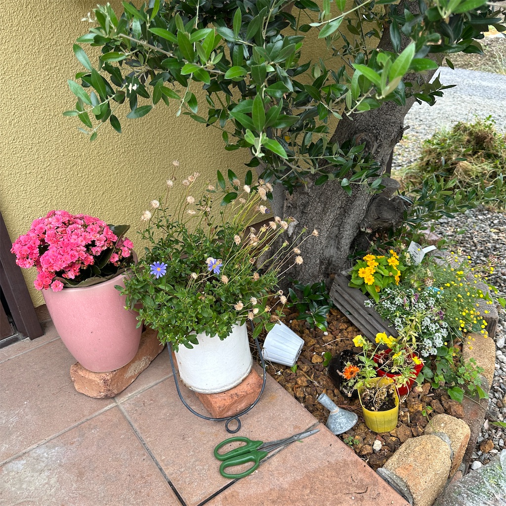 f:id:keikostyle:20260527103707j:image