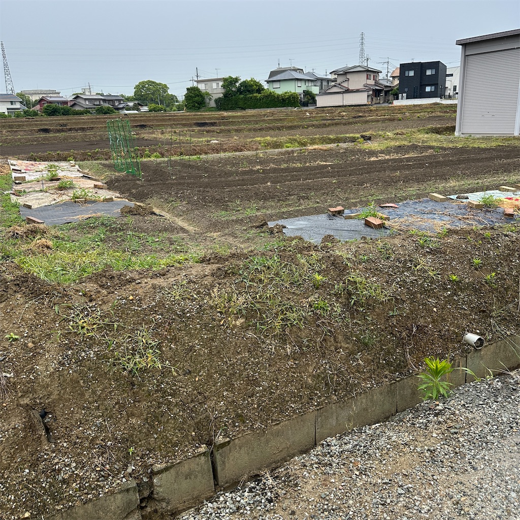 f:id:keikostyle:20260527103732j:image