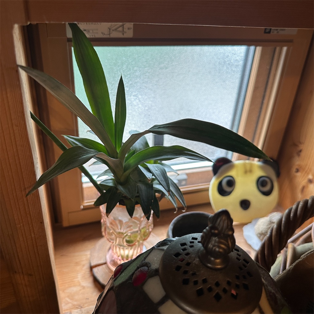 f:id:keikostyle:20260527103907j:image