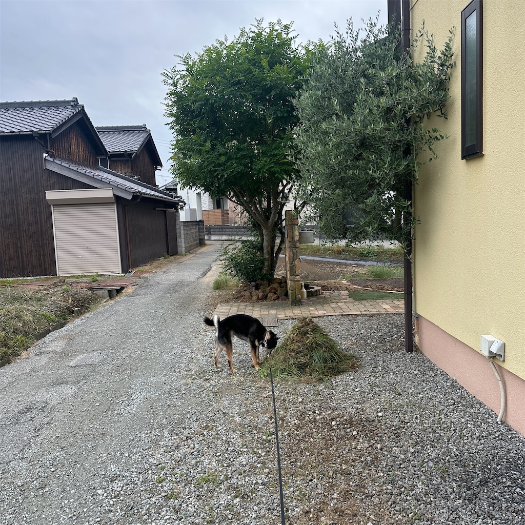 f:id:keikostyle:20260527172446j:image