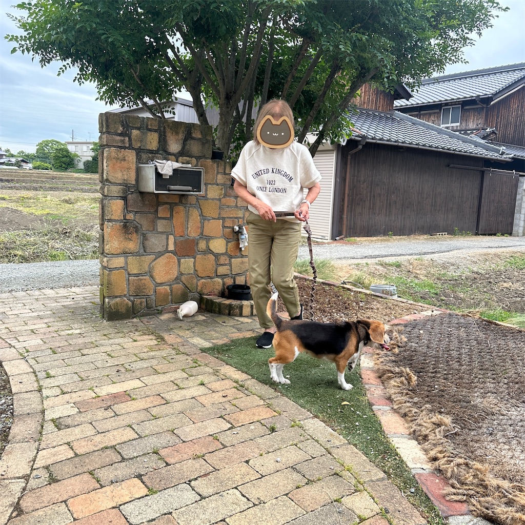 f:id:keikostyle:20260527205553j:image