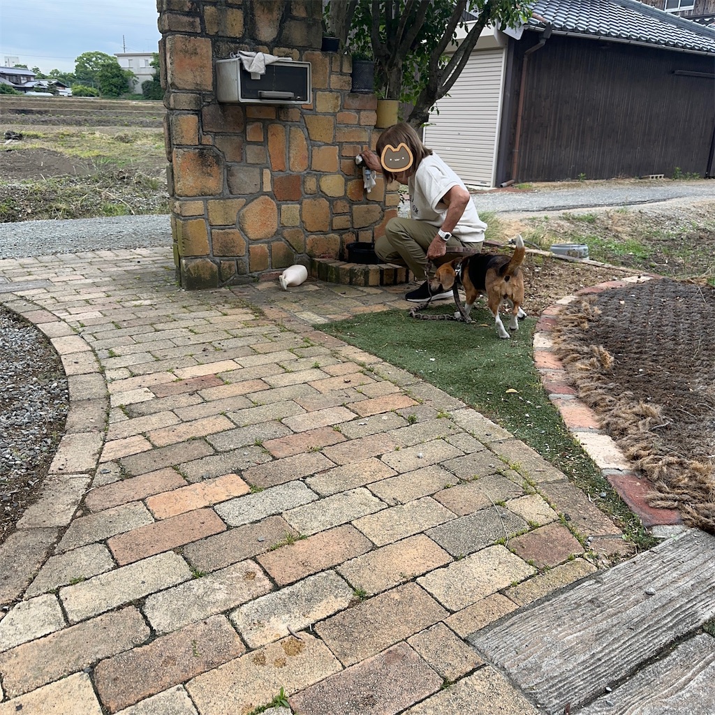f:id:keikostyle:20260527205606j:image