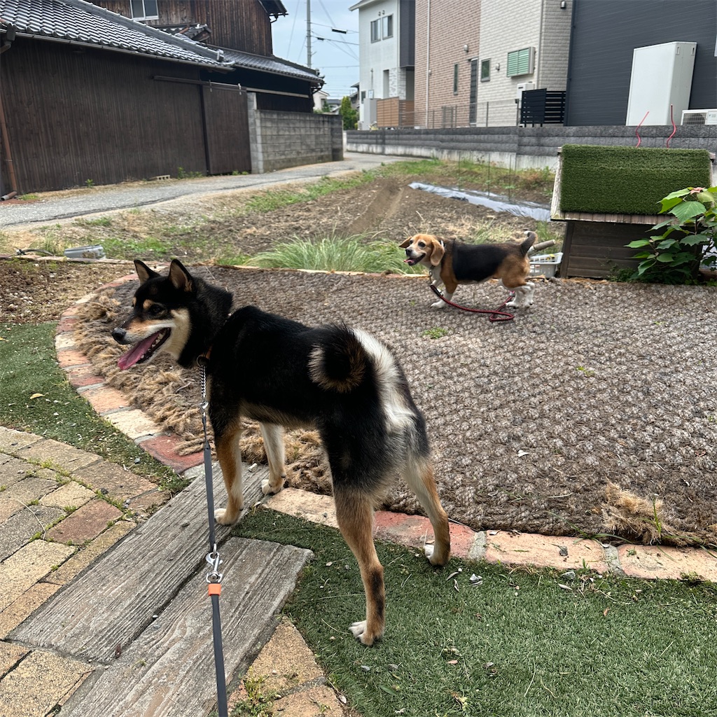 f:id:keikostyle:20260527205612j:image