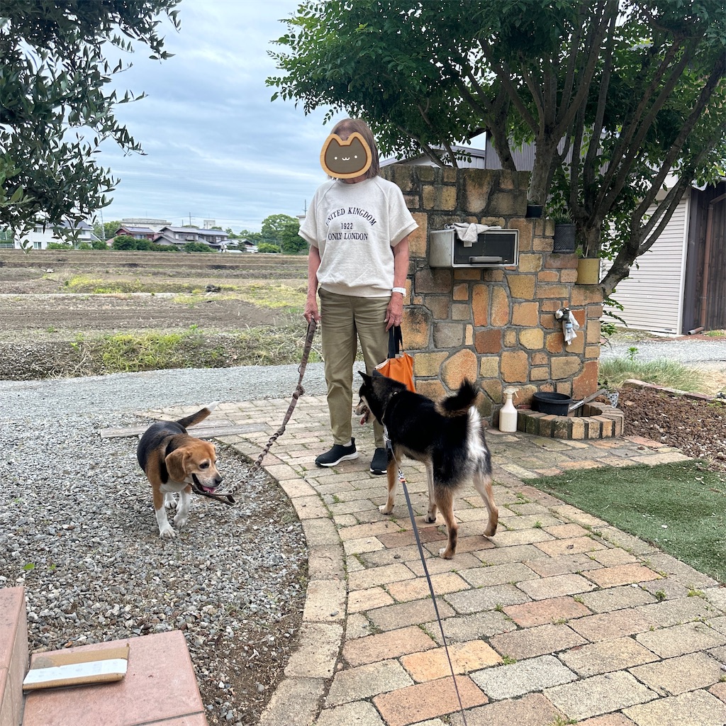 f:id:keikostyle:20260527205615j:image