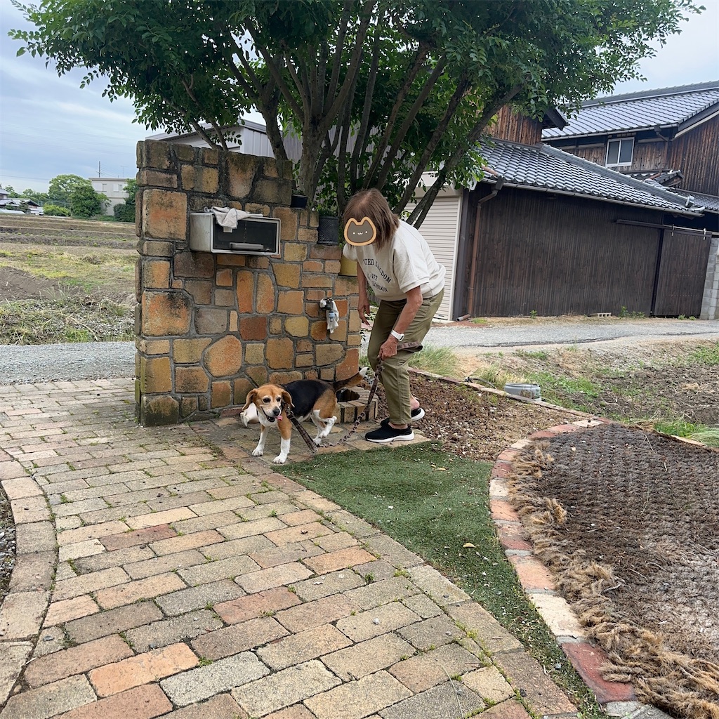 f:id:keikostyle:20260527205618j:image