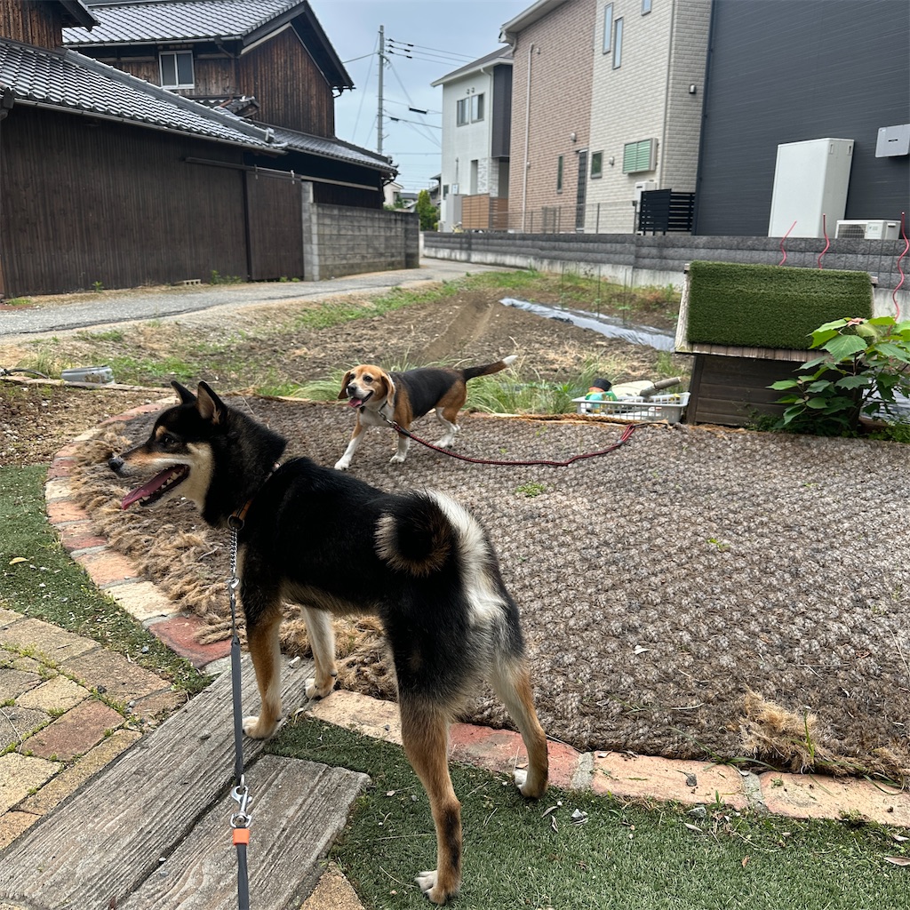 f:id:keikostyle:20260527205621j:image