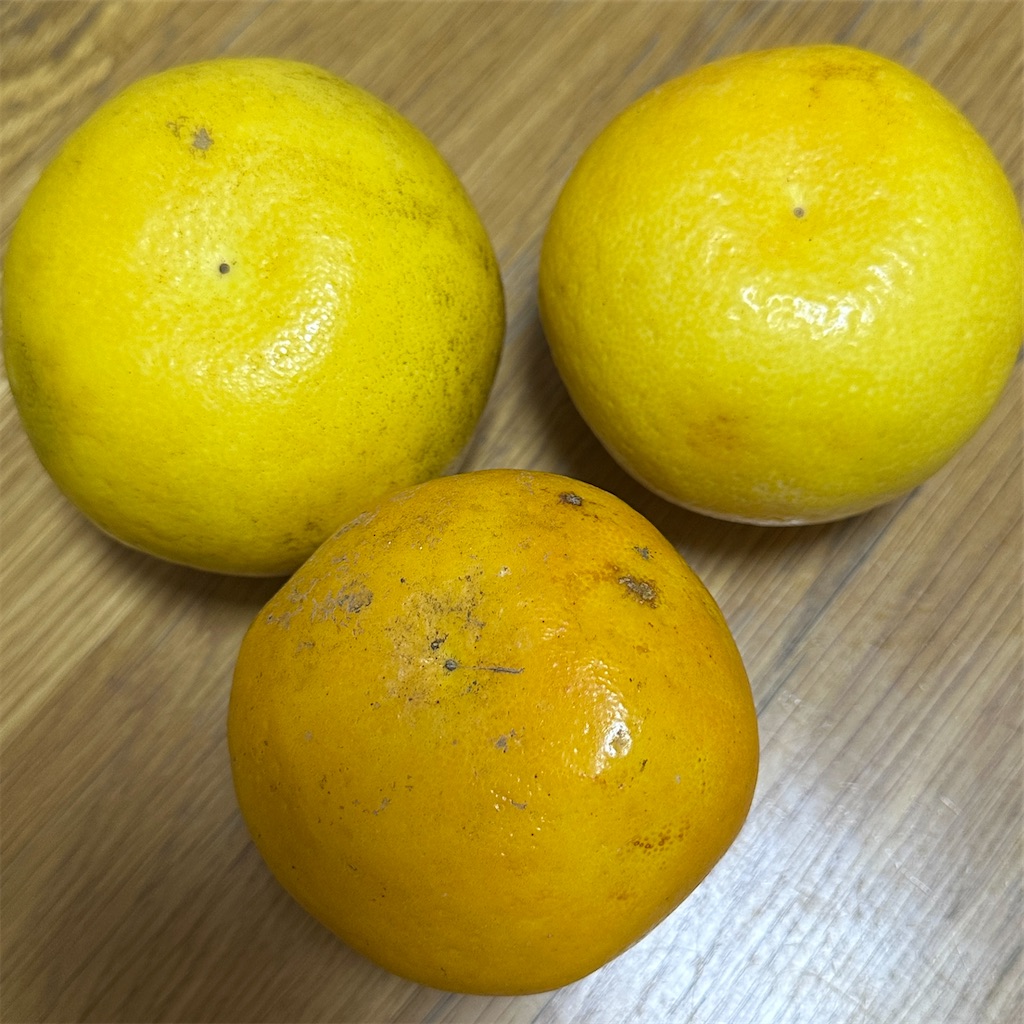 f:id:keikostyle:20260609132251j:image