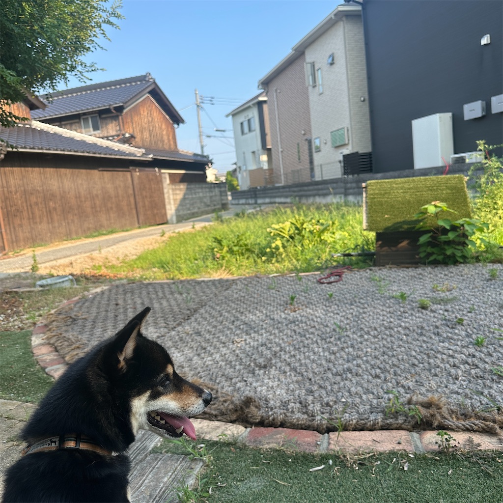 f:id:keikostyle:20260721170054j:image