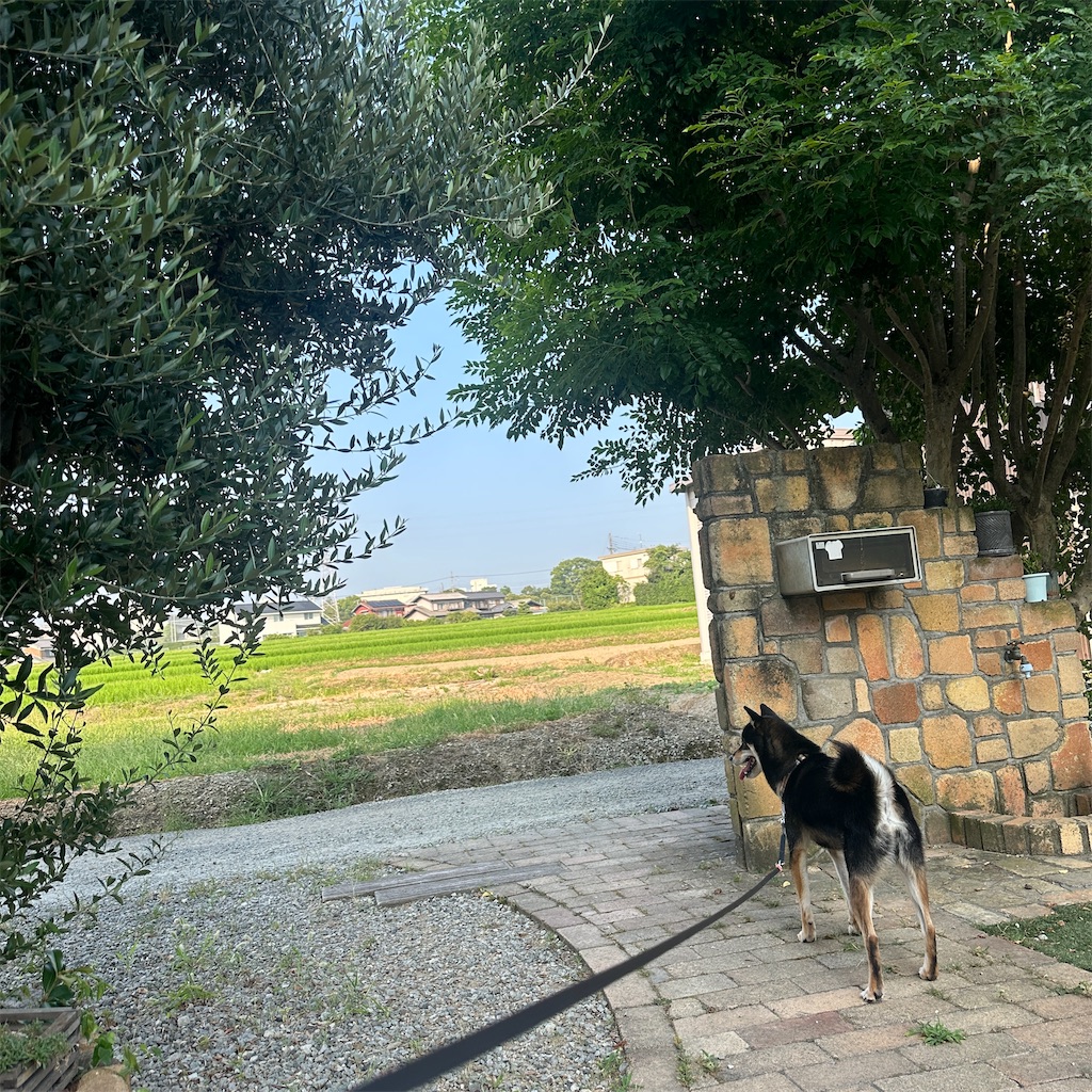 f:id:keikostyle:20260721170057j:image